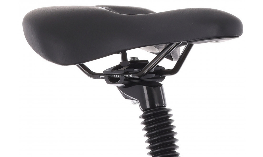 Dviratis Tabou Flow 1 21 black-chameleon - 5