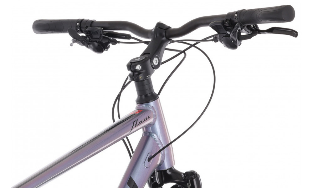 Dviratis Tabou Flow 1 21 black-chameleon - 7