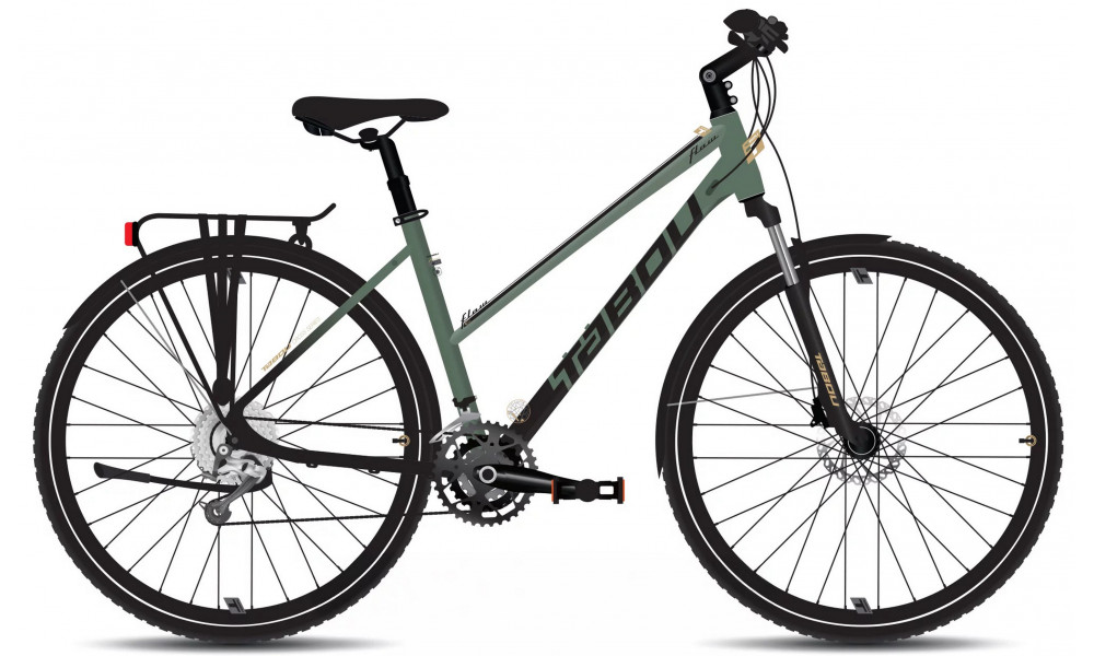 Dviratis Tabou Flow 4 EQ W 19 black-green 