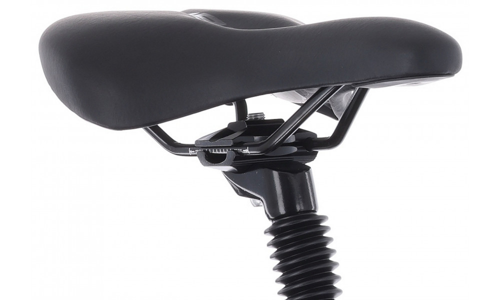 Dviratis Tabou Flow 2 EQ W 19 black-grey - 5