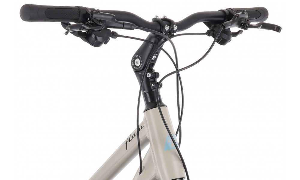 Dviratis Tabou Flow 2 EQ W 21 black-grey - 6