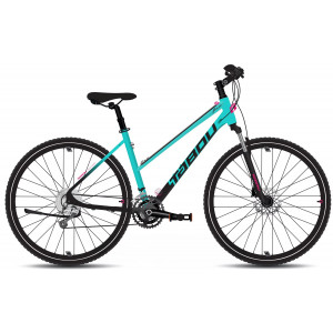 Dviratis Tabou Flow 1 W 19 black-mint
