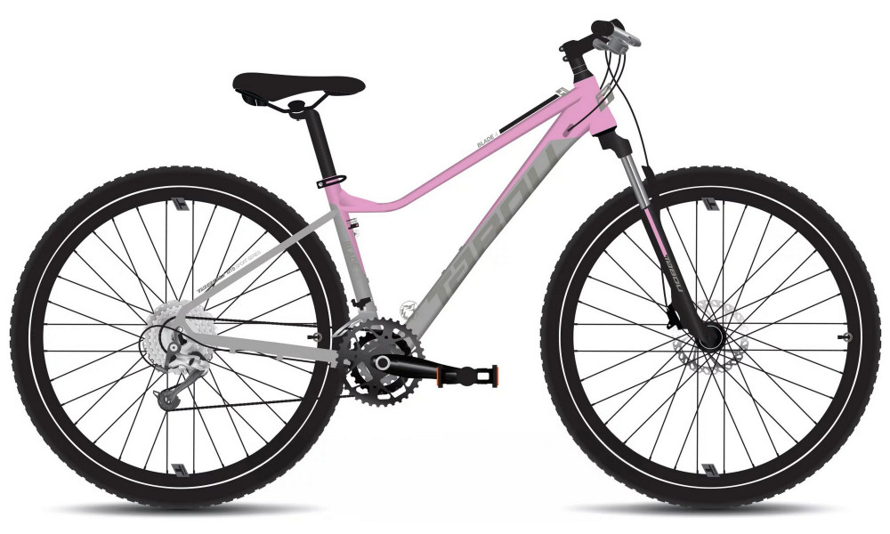 Dviratis Tabou Blade 29 4 W grey-pink 