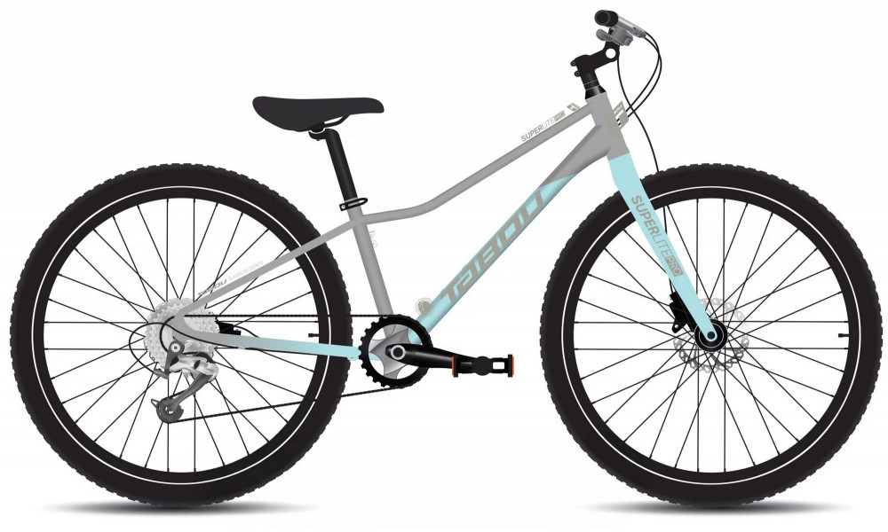 Dviratis Tabou Superlite Pro 26 W grey-mint 