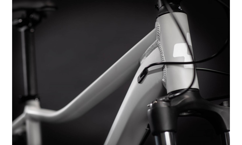 Dviratis Cube Access WS Pro 29 grey'n'white 2021 - 2