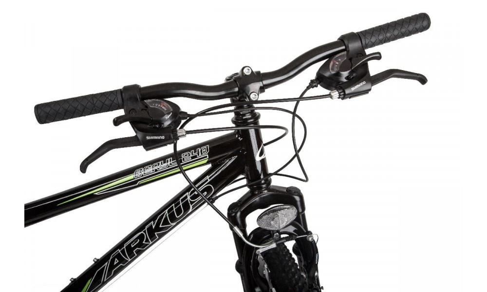 Dviratis Arkus Beryl 240 2015 black - 4
