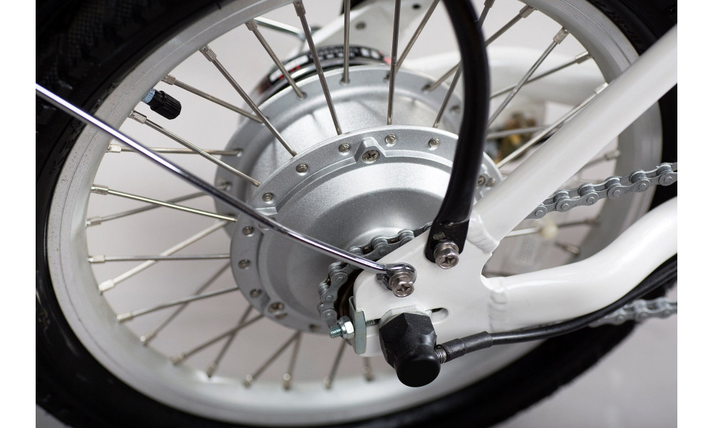 Dviratis GEOBIKE Smart 16" - 3