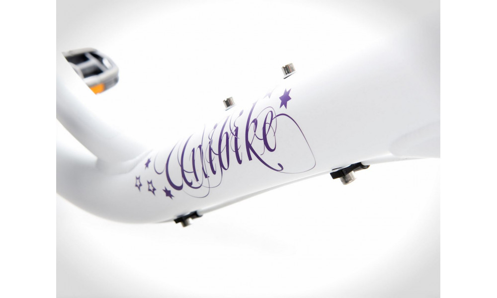 Dviratis UNIBIKE Princess 3 24 2017 white - 3