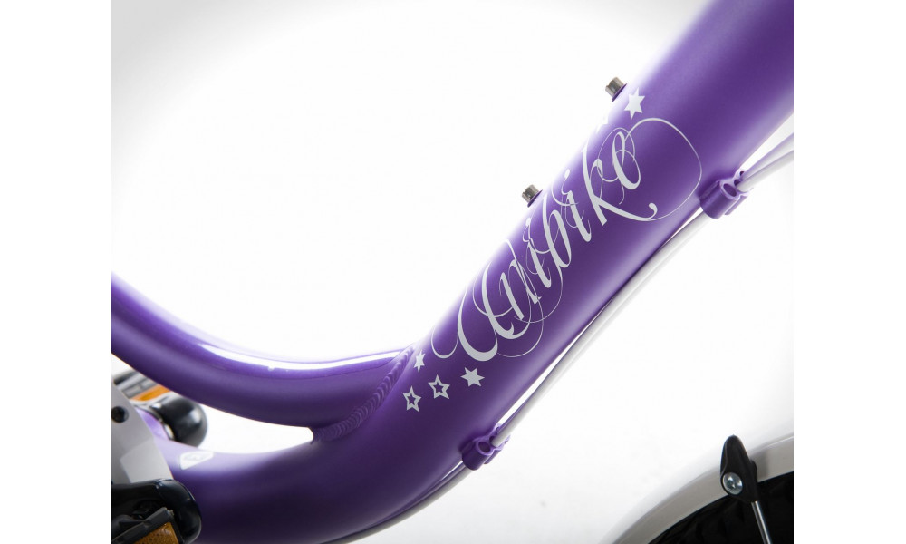 Dviratis UNIBIKE Princess 3 24 2017 violet - 2