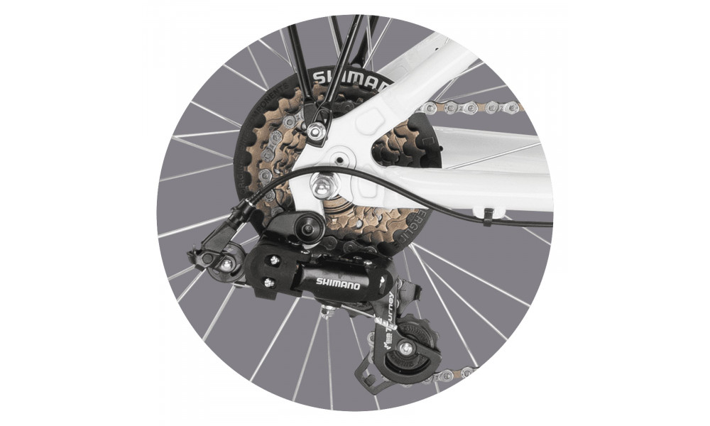 Dviratis PUKY Skyride 20-6 Alu white - 3