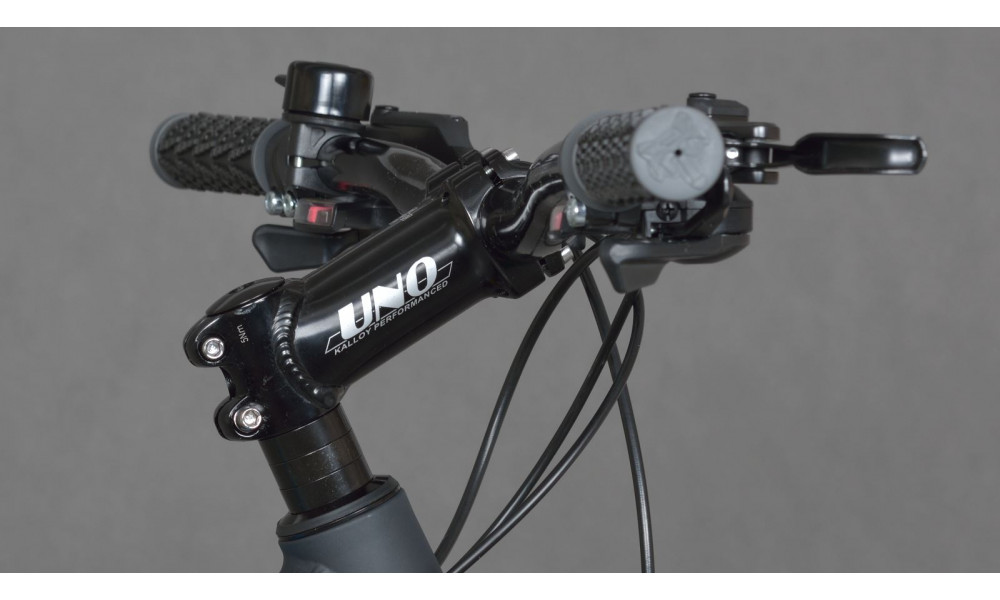 Dviratis KARBON Trail B4 29" 2014 black - 2
