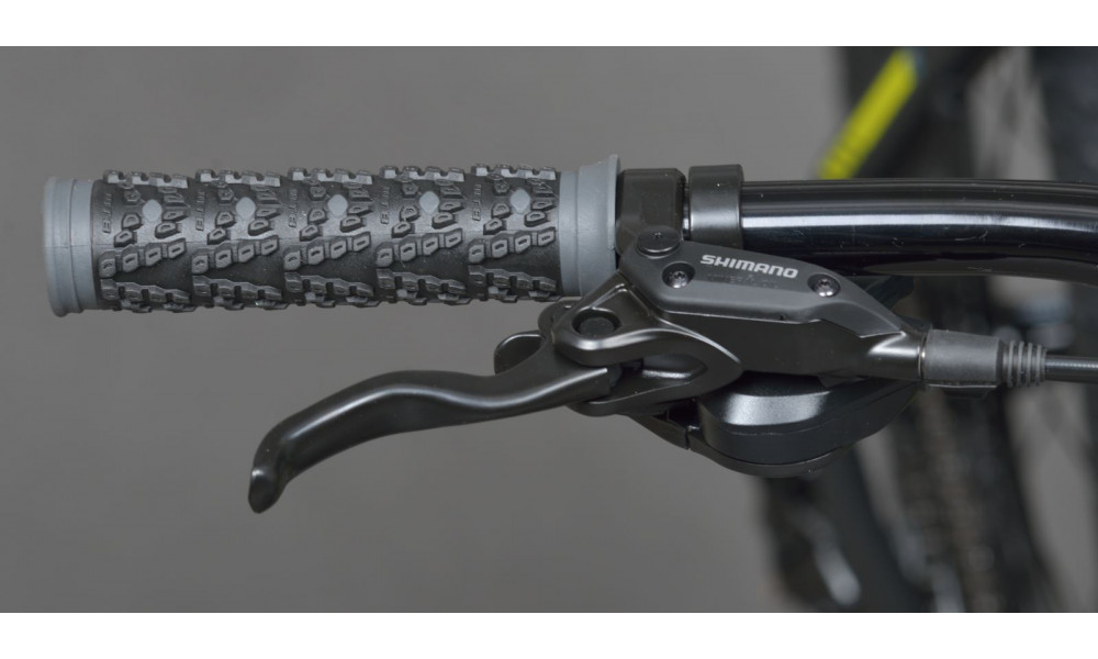 Dviratis KARBON Trail B4 29" 2014 black - 4