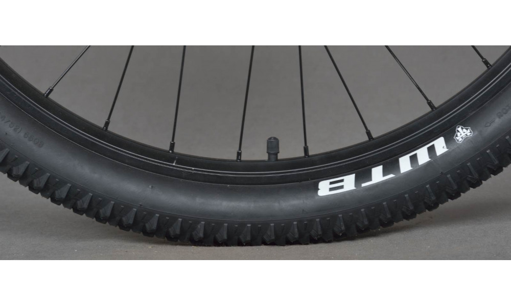 Dviratis KARBON Trail B4 29" 2014 black - 14
