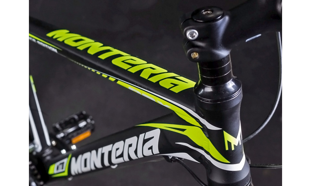 Dviratis Monteria DRS 29er black-green 2016 - 3