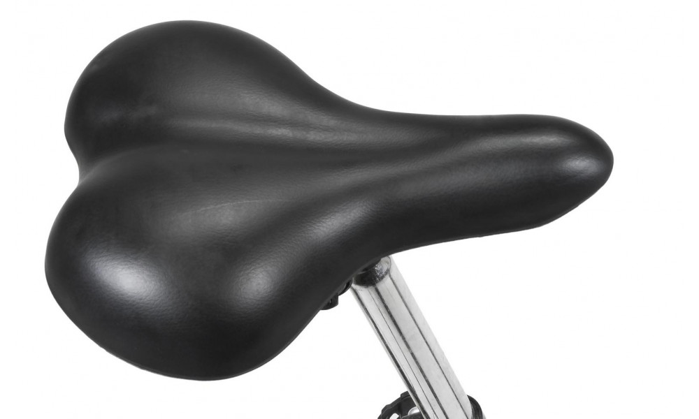 Dviratis AZIMUT Fold 20" 2025 black - 8