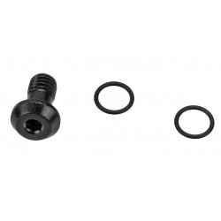 Diskinių stabdžių žarnelės tvirtinimo elementai Shimano BR-M8100 bolt and o-ring banjo