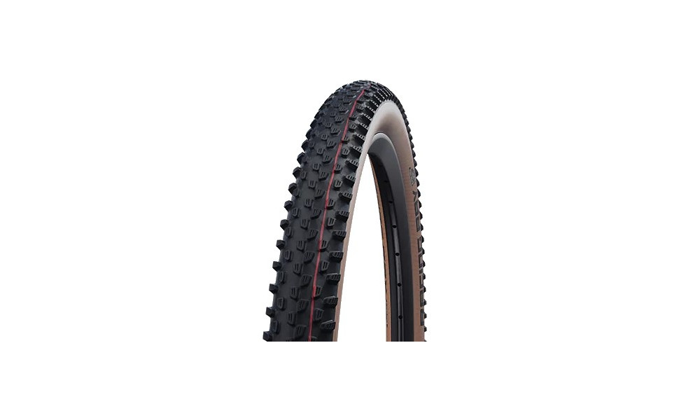 Padanga 29" Schwalbe Racing Ray HS 489 Evo Fold TLE 57-622 / 29x2.25 Super Race Addix Speed Transparent-Skin 