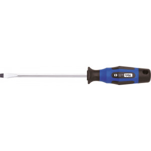 Įrankis Cyclus Tools screwdriver Flat 4x100 (720511)