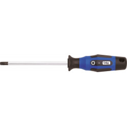 Įrankis Cyclus Tools screwdriver Torx TX 15x80 (720528)