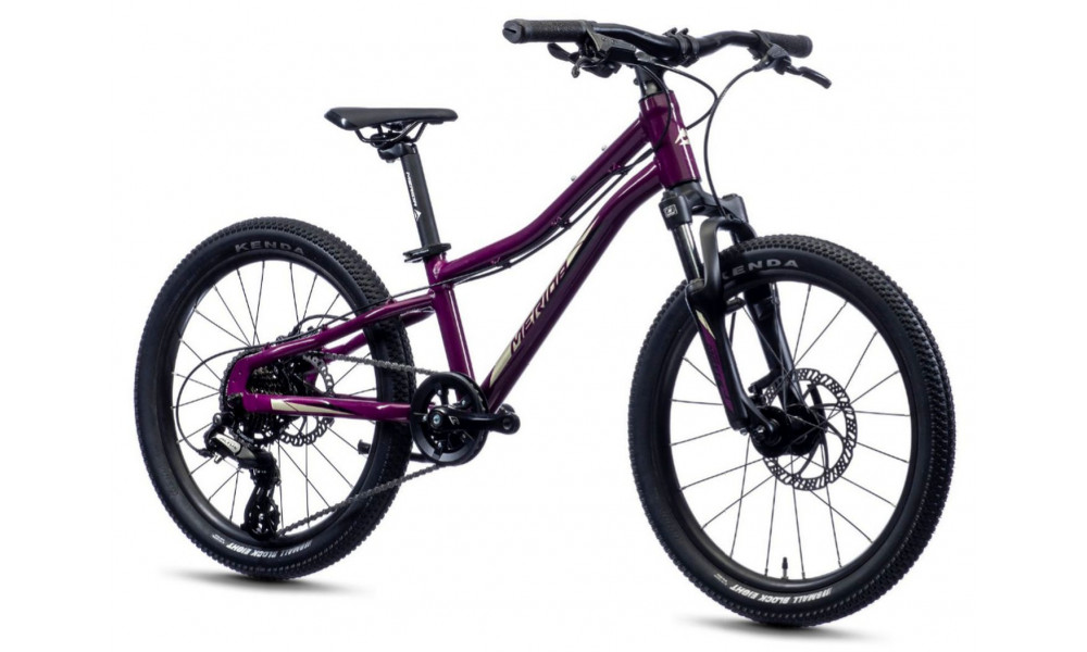 Dviratis Merida MATTS J.20 purple - 1