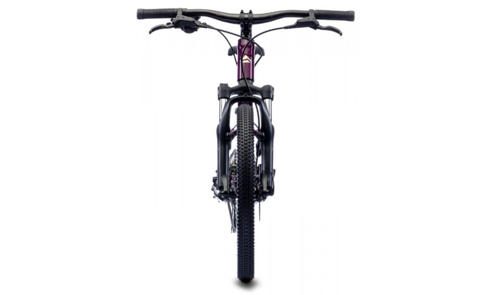 Dviratis Merida MATTS J.20 purple - 2
