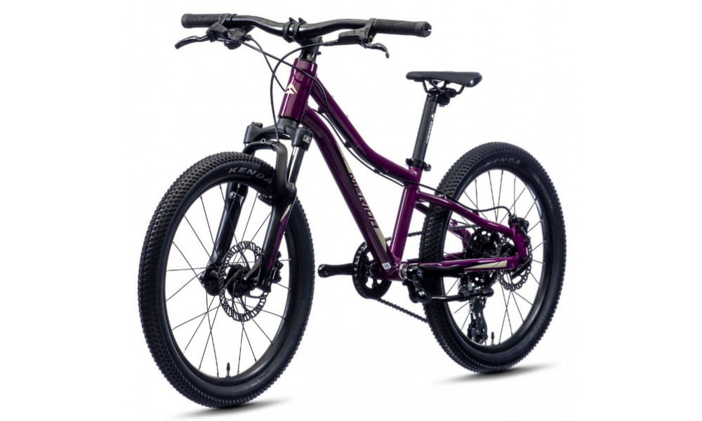 Dviratis Merida MATTS J.20 purple - 3