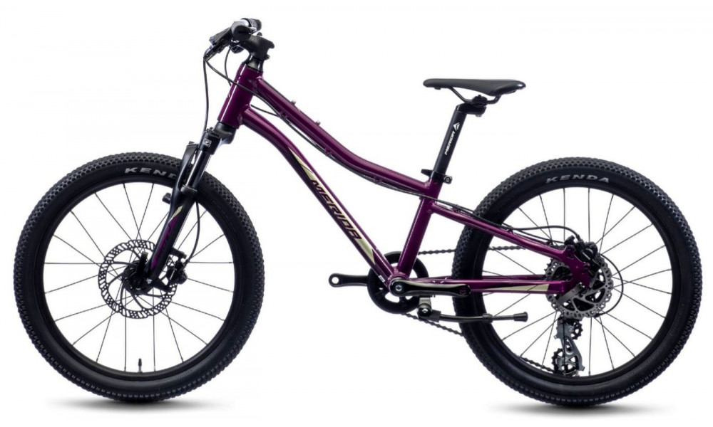 Dviratis Merida MATTS J.20 purple - 4
