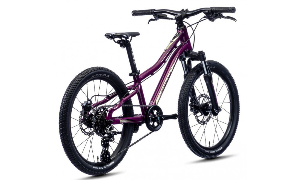Dviratis Merida MATTS J.20 purple - 5