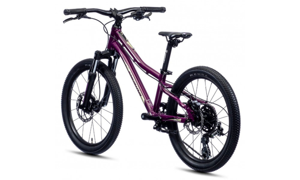Dviratis Merida MATTS J.20 purple - 6