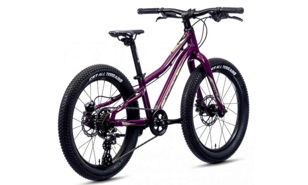 Dviratis Merida MATTS J.20+ purple - 4