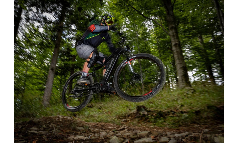 Elektrinis dviratis Ecobike RX 500 29" 48V - 3