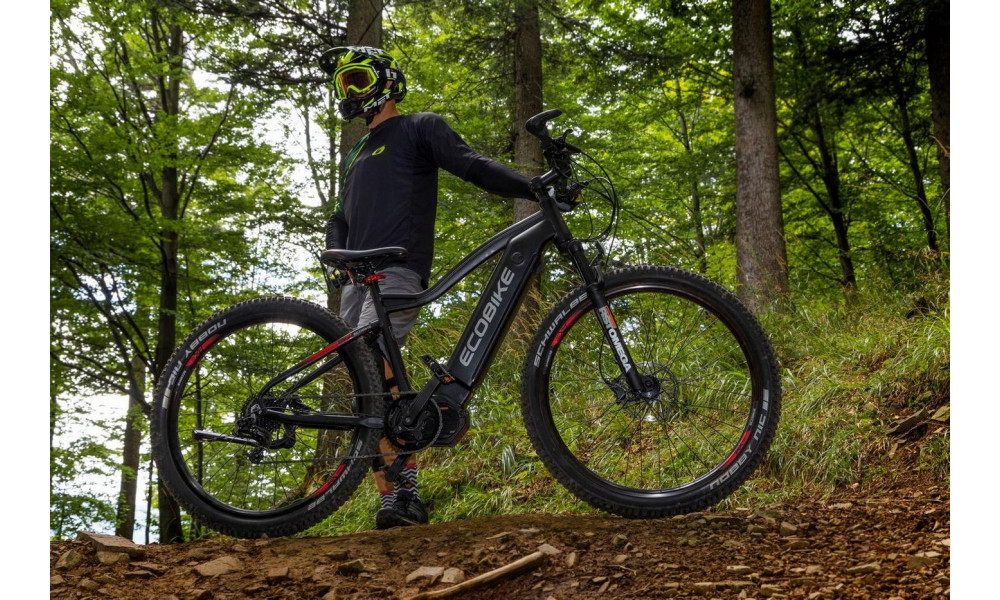 Elektrinis dviratis Ecobike RX 500 29" 48V - 4