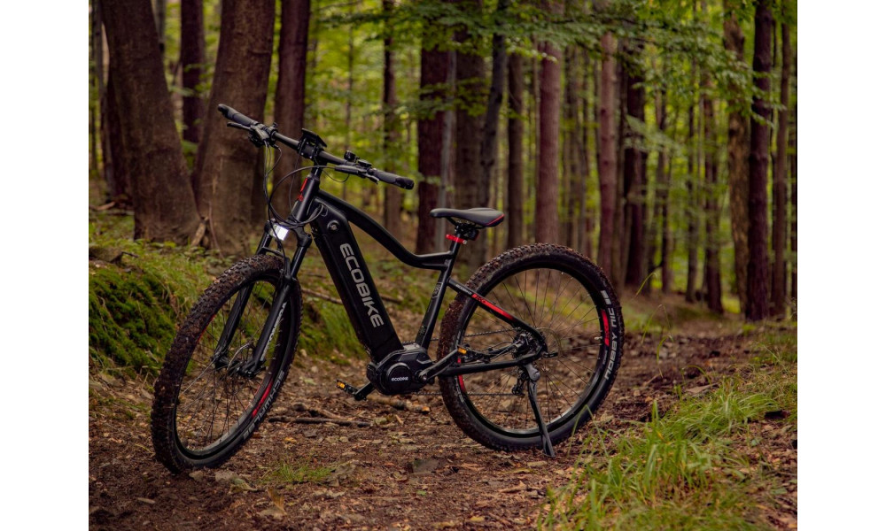 Elektrinis dviratis Ecobike RX 500 29" 48V - 5