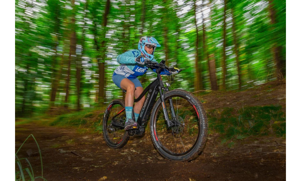 Elektrinis dviratis Ecobike RX 500 29" 48V - 8