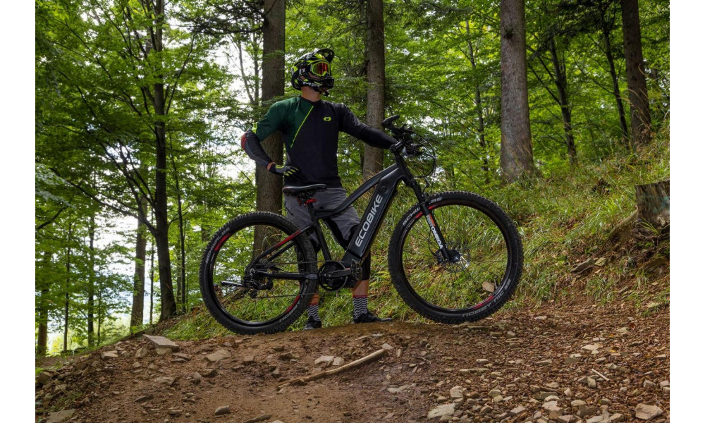 Elektrinis dviratis Ecobike RX 500 29" 48V - 9