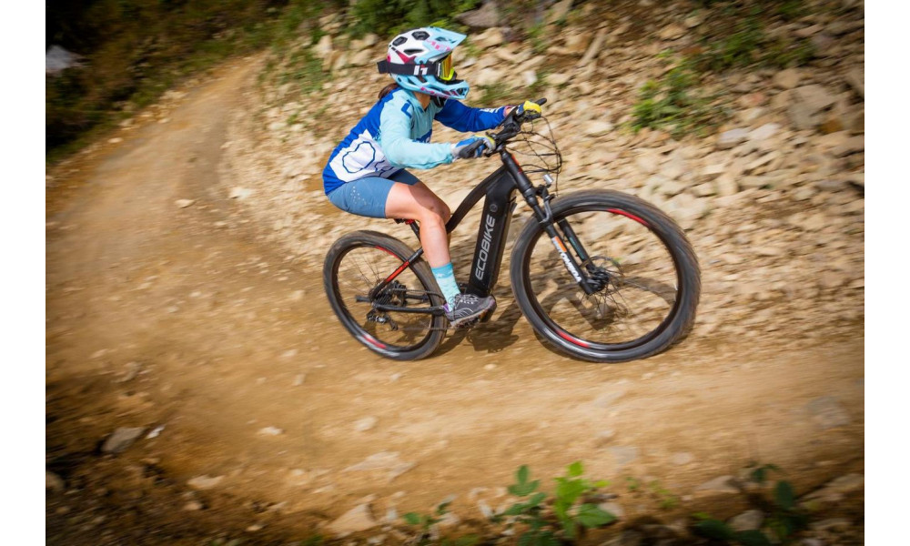 Elektrinis dviratis Ecobike RX 500 29" 48V - 10