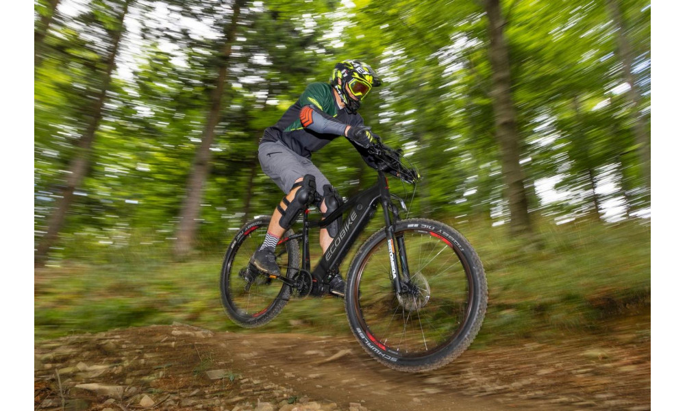 Elektrinis dviratis Ecobike RX 500 29" 48V - 11