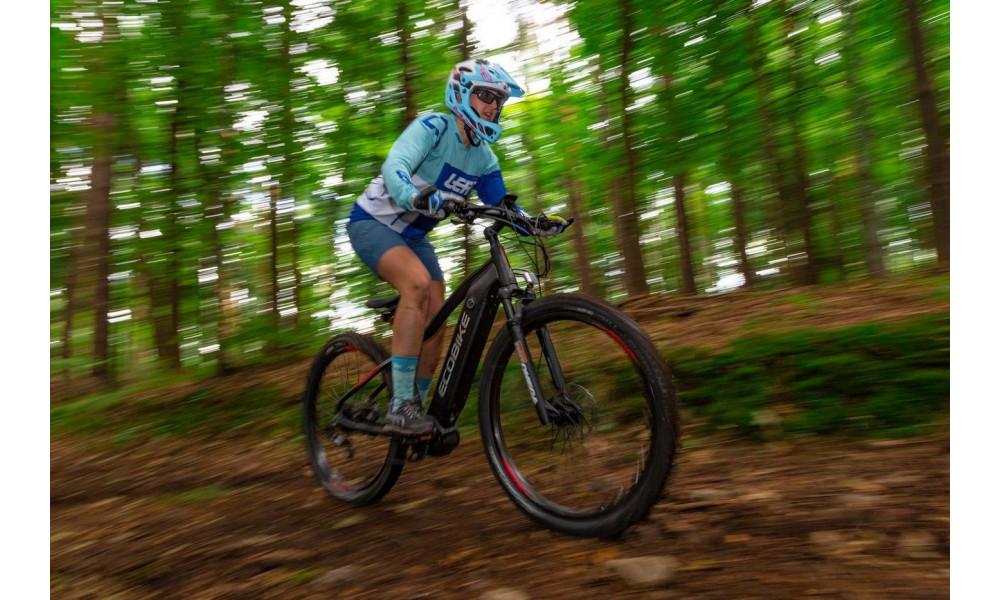 Elektrinis dviratis Ecobike RX 500 29" 48V - 13