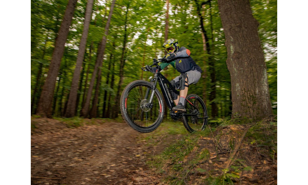 Elektrinis dviratis Ecobike RX 500 29" 48V - 15