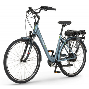 Elektrinis dviratis Ecobike Trafik 28" grey