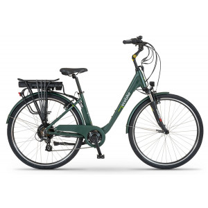 Elektrinis dviratis Ecobike Traffik 28" dark green