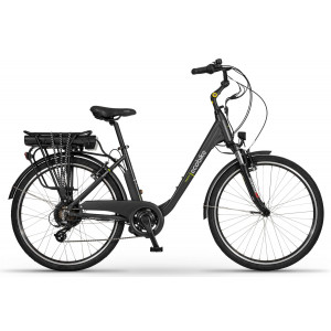 Elektrinis dviratis Ecobike Trafik 26" graphite