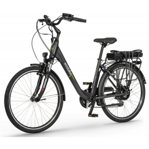 Elektrinis dviratis Ecobike Trafik 26" graphite