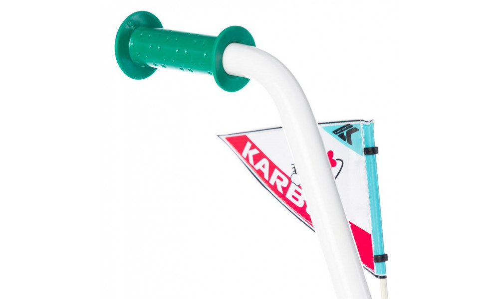 Dviratis Karbon Kitty 16 turquoise-white - 4