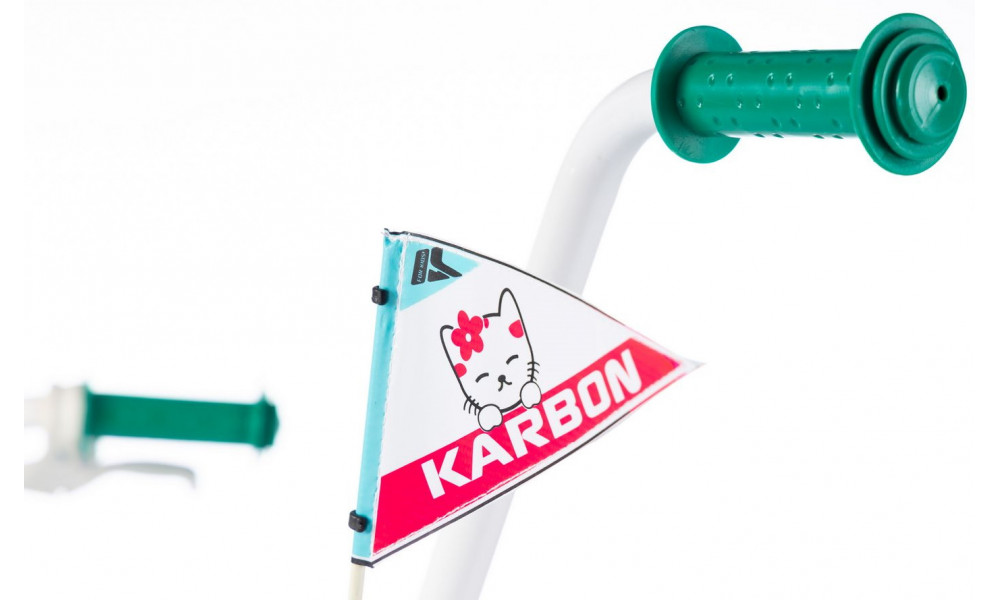 Dviratis Karbon Kitty 16 turquoise-white - 11