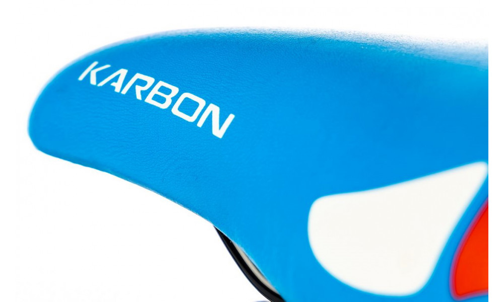 Dviratis Karbon Alvin 16 blue-red - 1