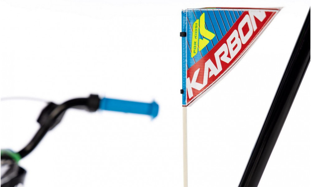 Dviratis Karbon Alvin 16 green-blue - 7