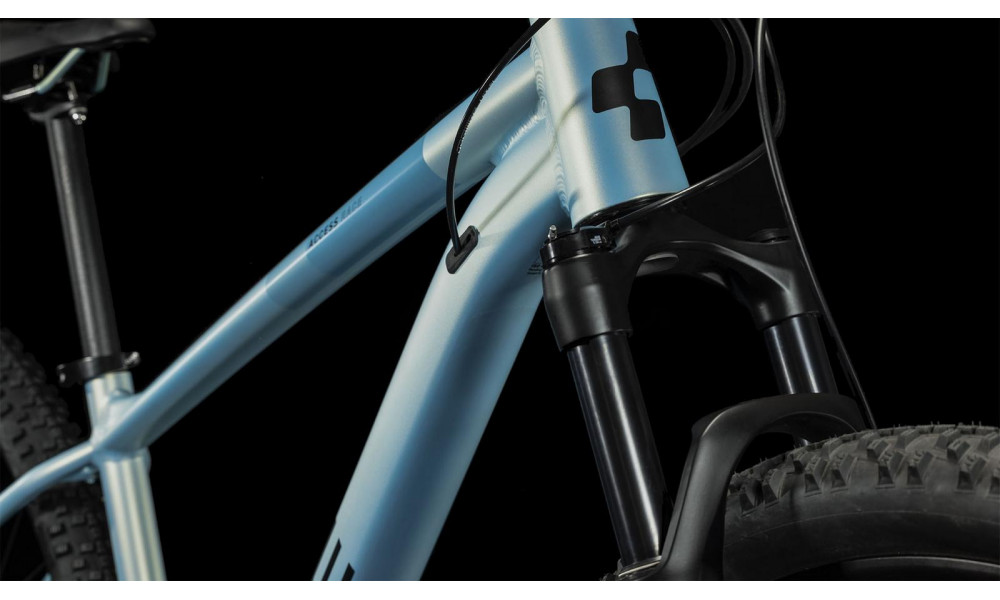 Dviratis Cube Access WS Race 29 sagemetallic'n'petrol - 1
