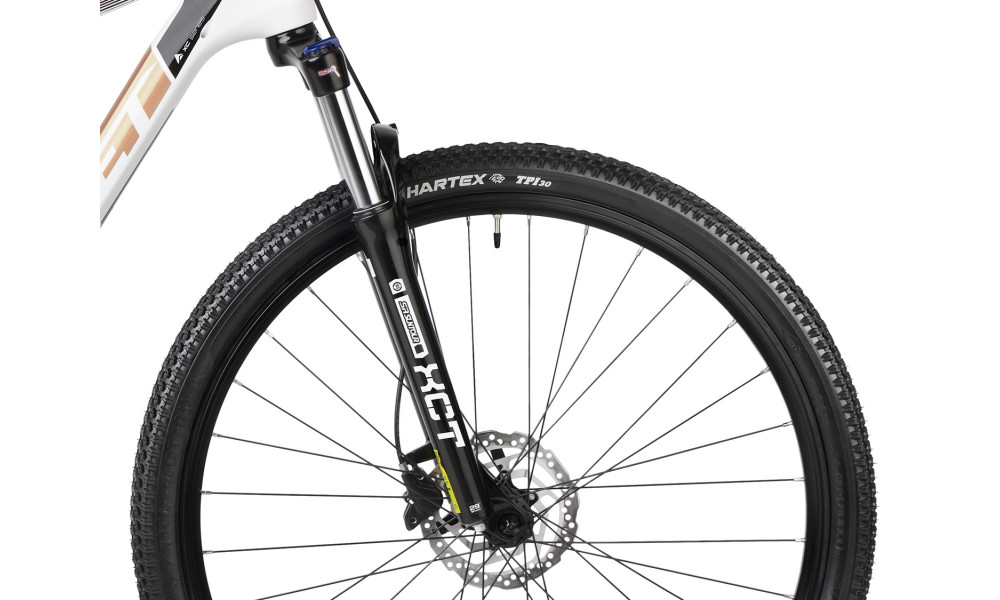 Dviratis Romet Monsun LTD Carbon 29" 2022 white - 2