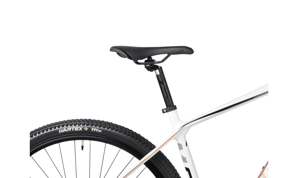 Dviratis Romet Monsun LTD Carbon 29" 2022 white - 3
